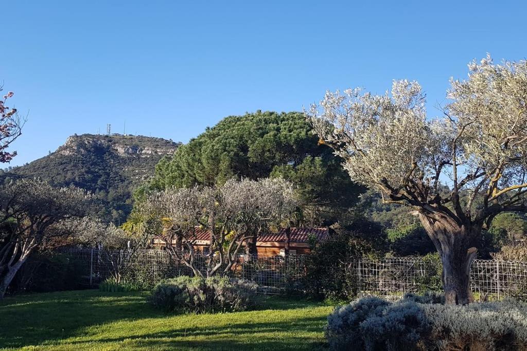 Sous Le Grand Pin Gites Eden En Cevennes Anduze Esterno foto