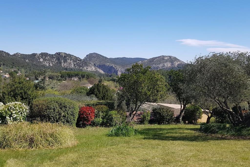 Sous Le Grand Pin Gites Eden En Cevennes Anduze Esterno foto